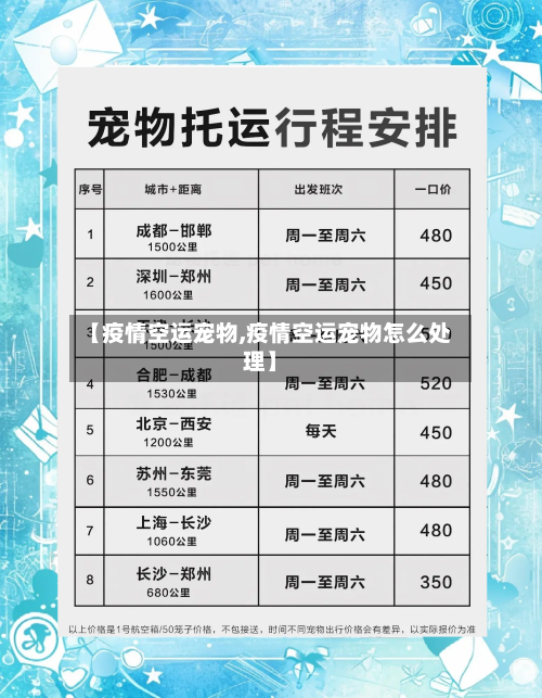 【疫情空运宠物,疫情空运宠物怎么处理】-第2张图片