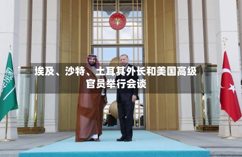 埃及、沙特、土耳其外长和美国高级官员举行会谈-第3张图片