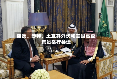 埃及、沙特	、土耳其外长和美国高级官员举行会谈-第2张图片