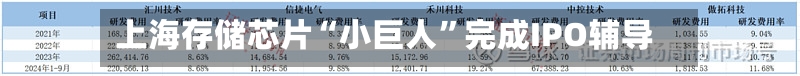 上海存储芯片“小巨人”完成IPO辅导-第2张图片