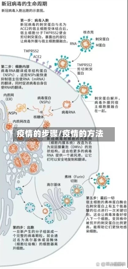 疫情的步骤/疫情的方法