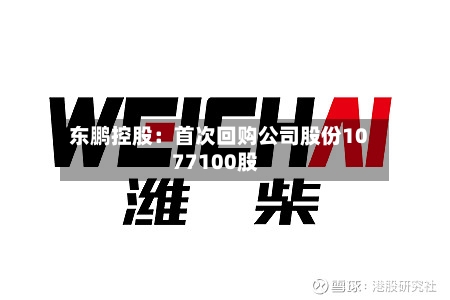 东鹏控股：首次回购公司股份1077100股