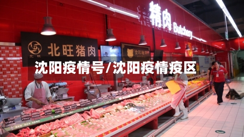 沈阳疫情号/沈阳疫情疫区