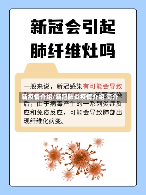 新疫情介绍/新冠肺炎疫情介绍 简介-第2张图片