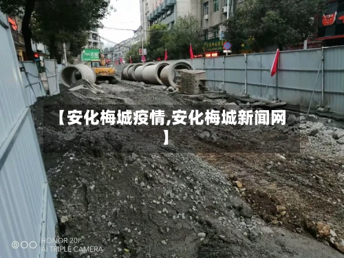 【安化梅城疫情,安化梅城新闻网】