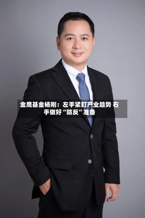 金鹰基金杨刚：左手紧盯产业趋势 右手做好“防反”准备-第3张图片