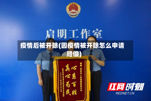 疫情后被开除(因疫情被开除怎么申请赔偿)-第2张图片