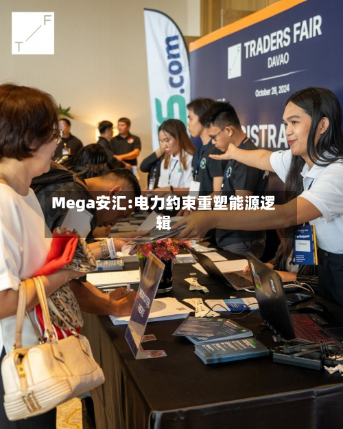 Mega安汇:电力约束重塑能源逻辑-第2张图片