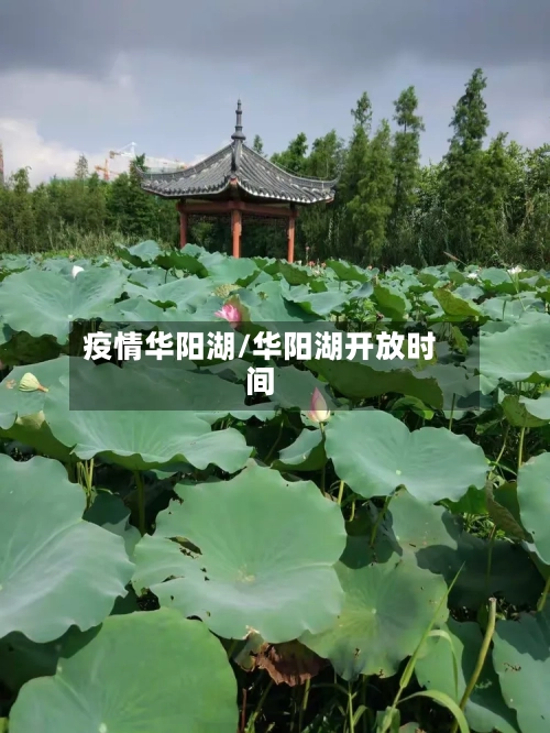疫情华阳湖/华阳湖开放时间