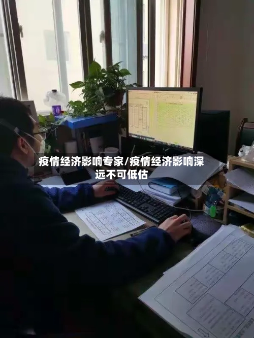 疫情经济影响专家/疫情经济影响深远不可低估