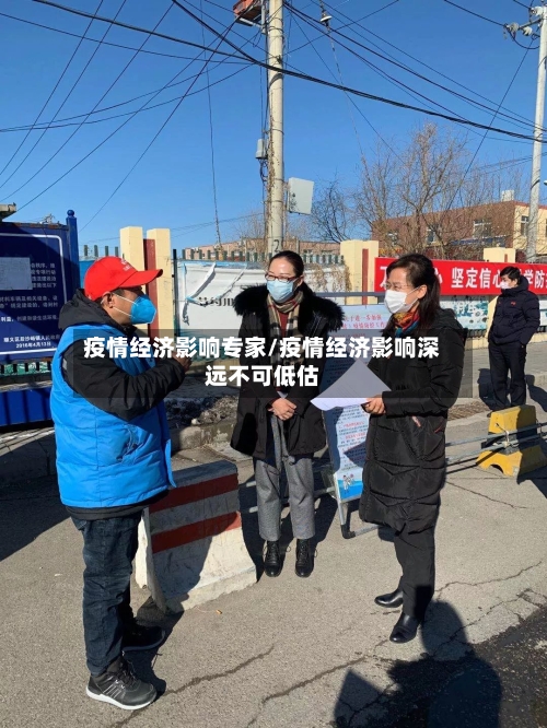 疫情经济影响专家/疫情经济影响深远不可低估-第2张图片