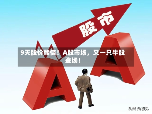 9天股价翻倍！A股市场，又一只牛股登场！