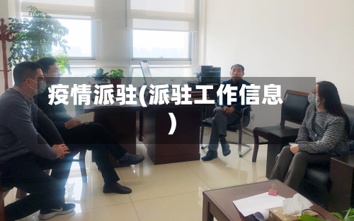 疫情派驻(派驻工作信息)