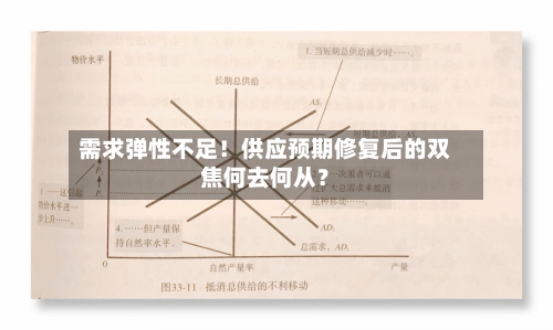 需求弹性不足！供应预期修复后的双焦何去何从？-第2张图片