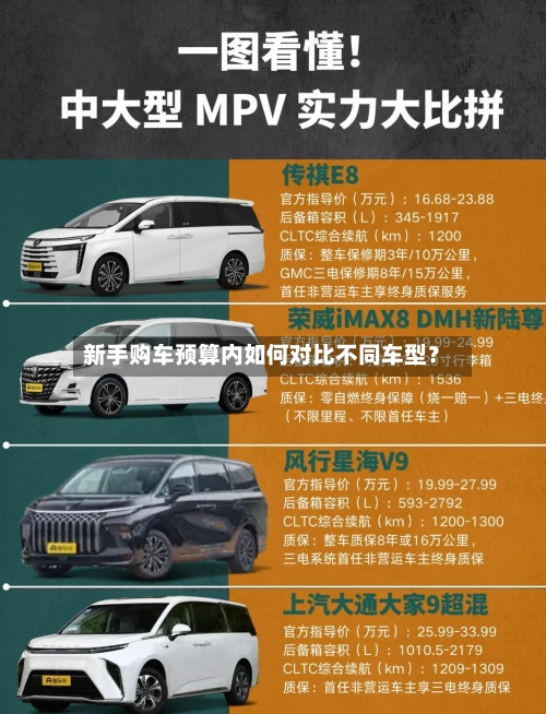 新手购车预算内如何对比不同车型？