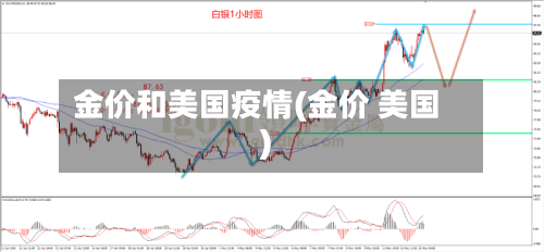 金价和美国疫情(金价 美国)-第2张图片