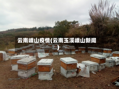 云南峨山疫情(云南玉溪峨山新闻)-第2张图片
