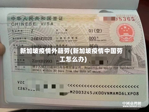新加坡疫情外籍劳(新加坡疫情中国劳工怎么办)