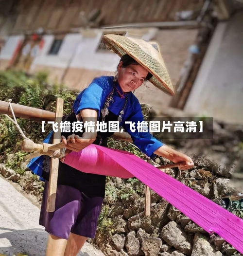 【飞檐疫情地图,飞檐图片高清】-第2张图片