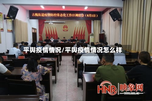 平舆疫情情况/平舆疫情情况怎么样-第3张图片