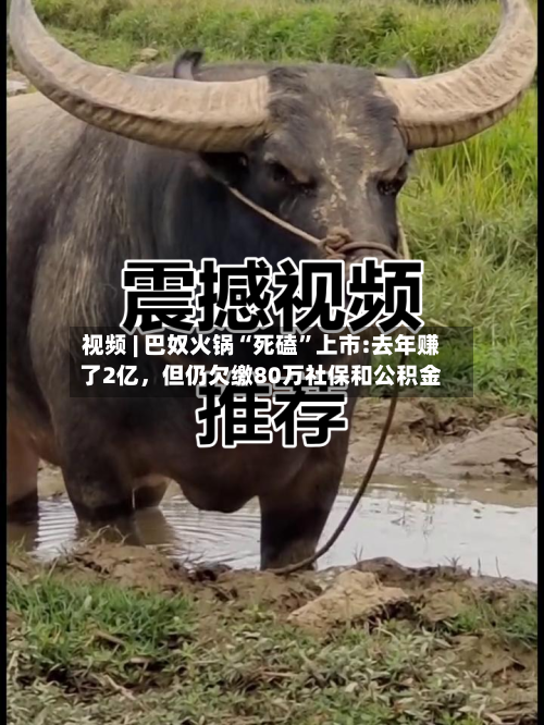 视频 | 巴奴火锅“死磕”上市:去年赚了2亿，但仍欠缴80万社保和公积金