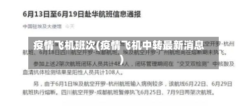 疫情飞机班次(疫情飞机中转最新消息)-第2张图片