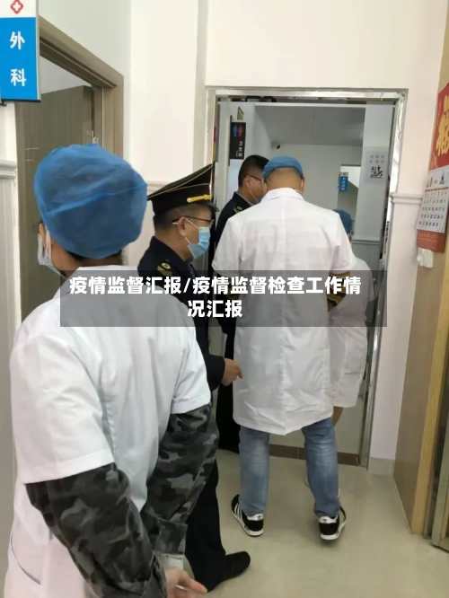 疫情监督汇报/疫情监督检查工作情况汇报-第3张图片