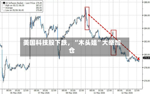 美国科技股下跌，“木头姐	”大举加仓-第2张图片