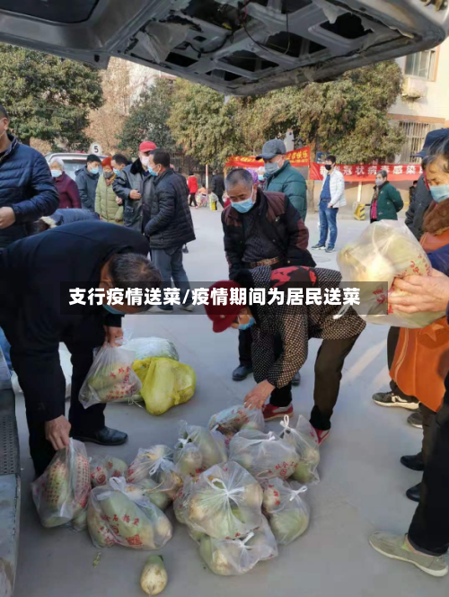 支行疫情送菜/疫情期间为居民送菜