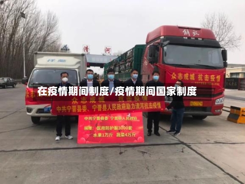 在疫情期间制度/疫情期间国家制度