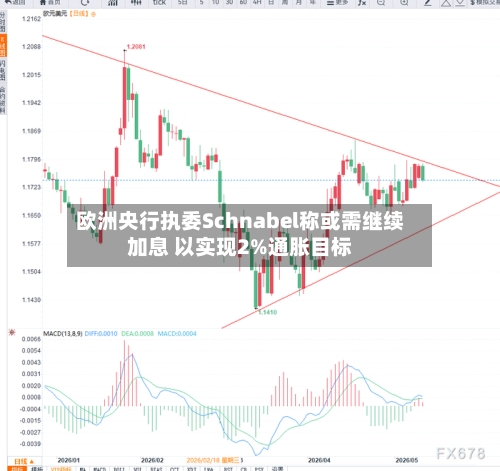 欧洲央行执委Schnabel称或需继续加息 以实现2%通胀目标