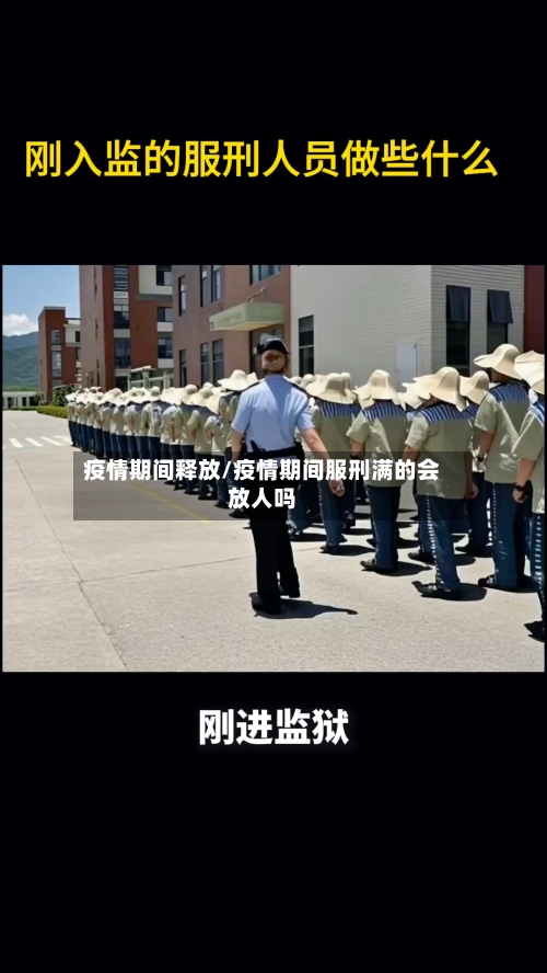 疫情期间释放/疫情期间服刑满的会放人吗