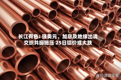 长江有色: 强美元、加息及地缘出清交织共振施压 25日铝价或大跌-第3张图片