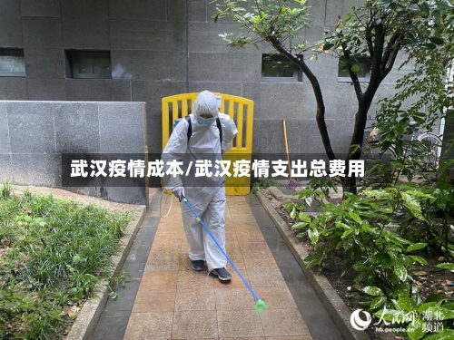 武汉疫情成本/武汉疫情支出总费用