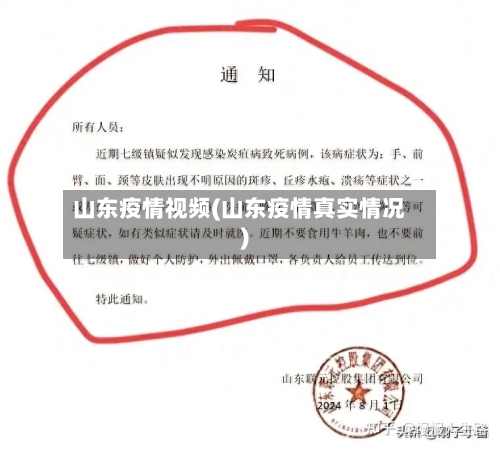 山东疫情视频(山东疫情真实情况)-第3张图片