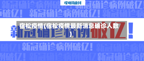 宿松疫情(宿松疫情最新消息确诊人数)-第2张图片