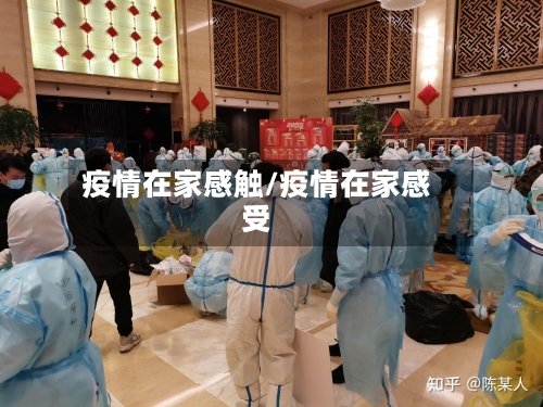 疫情在家感触/疫情在家感受-第2张图片