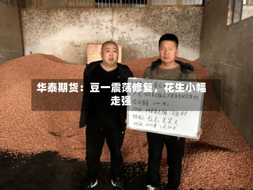华泰期货：豆一震荡修复	，花生小幅走强-第3张图片