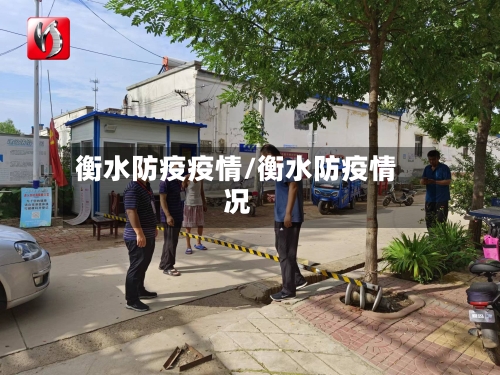 衡水防疫疫情/衡水防疫情况