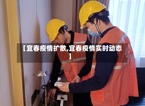 【宜春疫情扩散,宜春疫情实时动态】-第2张图片