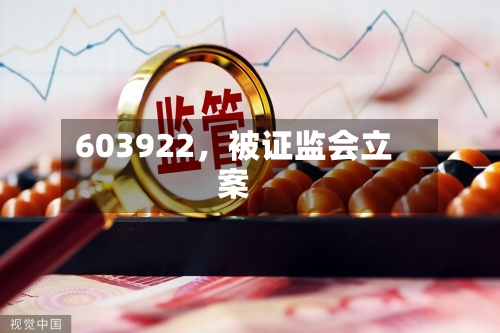 603922，被证监会立案-第3张图片
