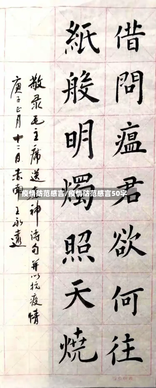 疫情防范感言/疫情防范感言50字-第2张图片