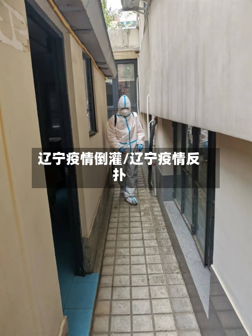 辽宁疫情倒灌/辽宁疫情反扑