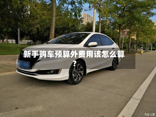 新手购车预算外费用该怎么算？-第3张图片