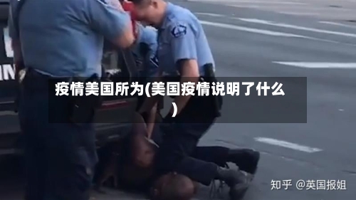 疫情美国所为(美国疫情说明了什么)-第3张图片
