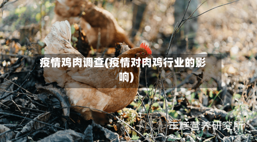 疫情鸡肉调查(疫情对肉鸡行业的影响)-第2张图片