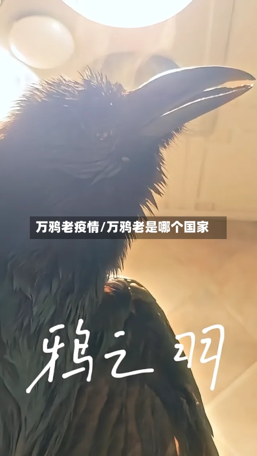 万鸦老疫情/万鸦老是哪个国家