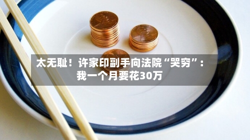 太无耻！许家印副手向法院“哭穷	”：我一个月要花30万-第2张图片