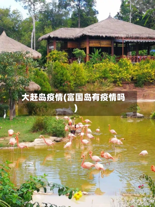 大赶岛疫情(富国岛有疫情吗)-第1张图片