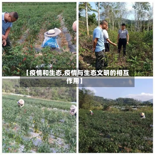 【疫情和生态,疫情与生态文明的相互作用】